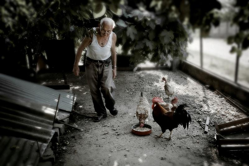 Il pollaio di Carlo.jpg - Laura Caserio